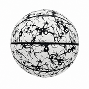 ballon-basket-flashy-blanc-dos-jour-ballerz.jpg
